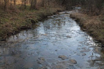 Timberland Property in Smith County, Tennessee