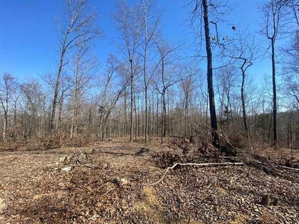 Recreational Property in Wayne County, Missouri