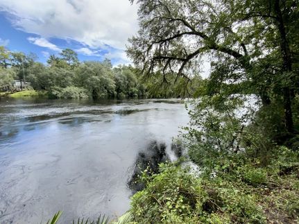 Farm Property in Madison County, Florida