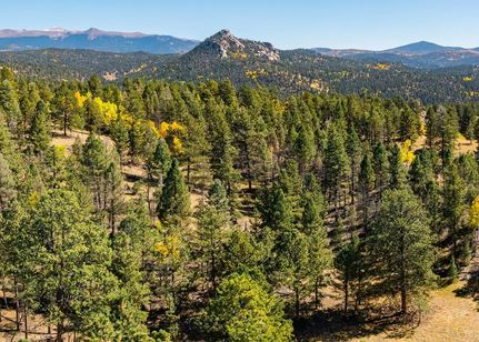 Recreational Property in Teller County, Colorado
