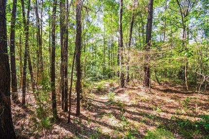 Farm Property in San Augustine County, Texas