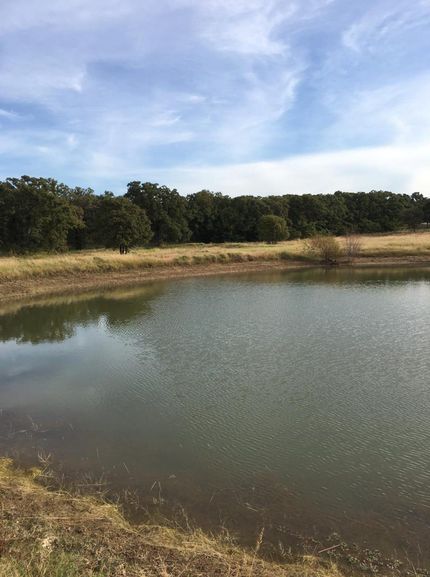 Farm Property in Cooke County, Texas