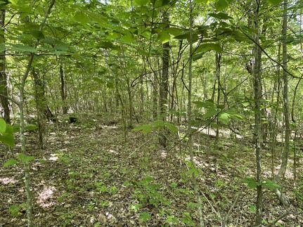 Ranch Property in Stone County, Arkansas