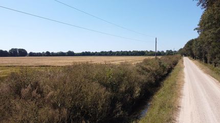 Farm Property in Butler County, Missouri