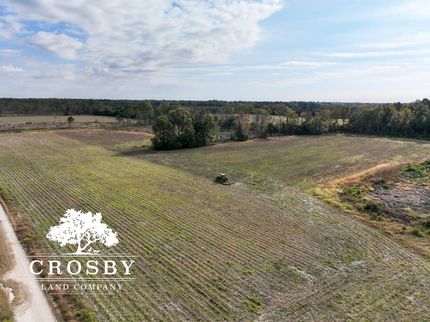 Timberland Property in Orangeburg County, South Carolina