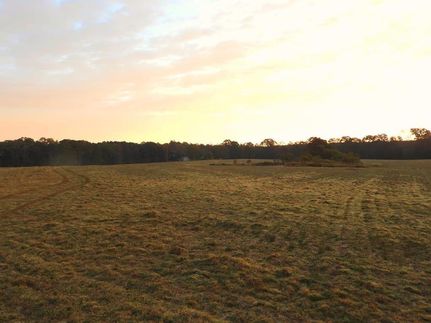Ranch Property in Amite County, Mississippi