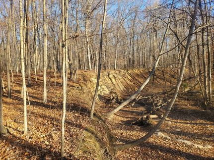 Ranch Property in Crawford County, Illinois