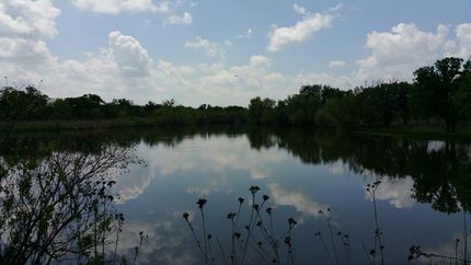 Ranch Property in Young County, Texas