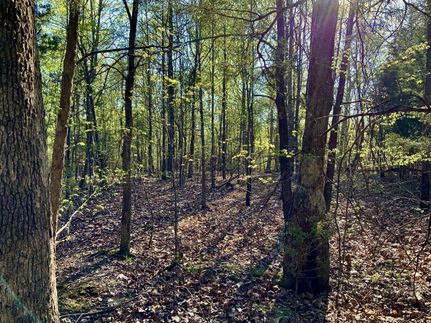 Farm Property in Stewart County, Tennessee