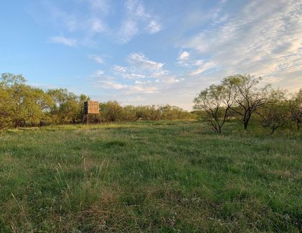 Farm Property in Clay County, Texas