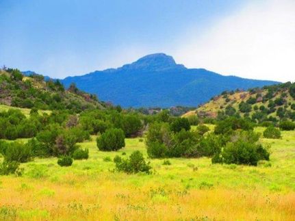 Property in Las Animas County, Colorado
