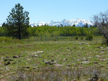 Property in Montrose County, Colorado