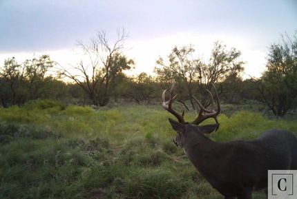 Ranch Property in Throckmorton County, Texas