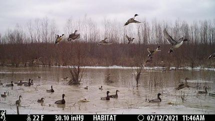 Farm Property in White County, Arkansas