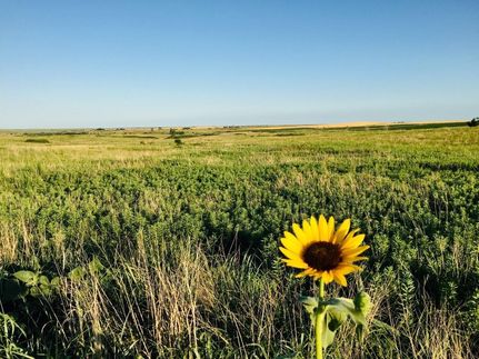 Farm Property in Russell County, Kansas