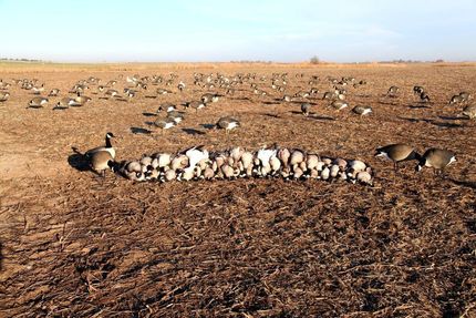 Farm Property in Stafford County, Kansas
