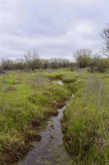Recreational Property in Young County, Texas