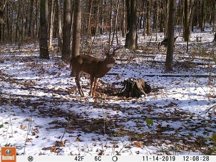 Ranch Property in Adams County, Ohio