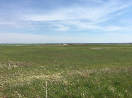 Farm Property in Wichita County, Texas