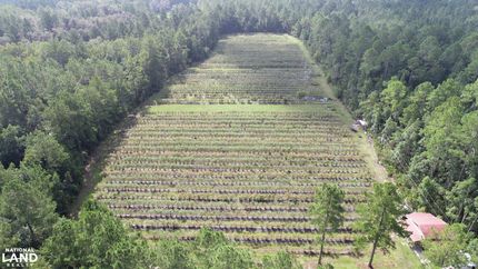 Ranch Property in Camden County, Georgia