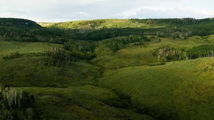 Farm Property in Mesa County, Colorado