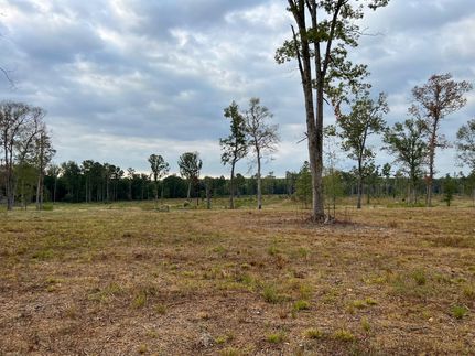 Farm Property in Ouachita Parish, Louisiana
