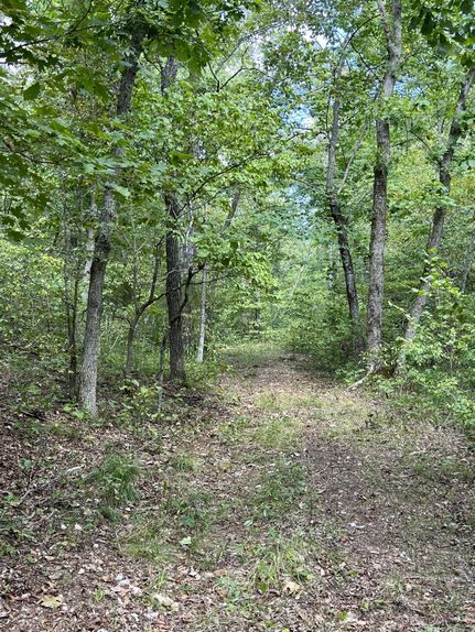 Farm Property in Dallas County, Missouri
