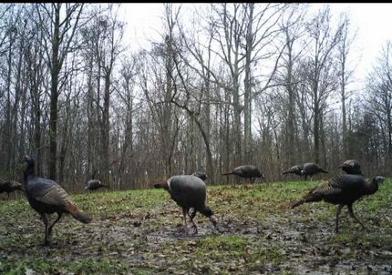 Ranch Property in Panola County, Mississippi