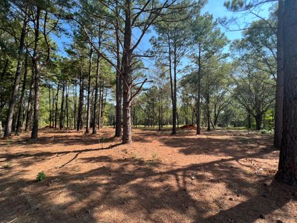 Timberland Property in Smith County, Texas