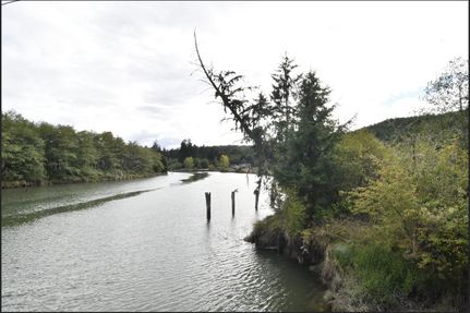 Farm Property in Grays Harbor County, Washington