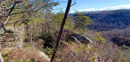 Undeveloped Land in McCreary County, Kentucky
