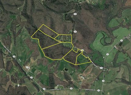 Timberland Property in Edmonson County, Kentucky