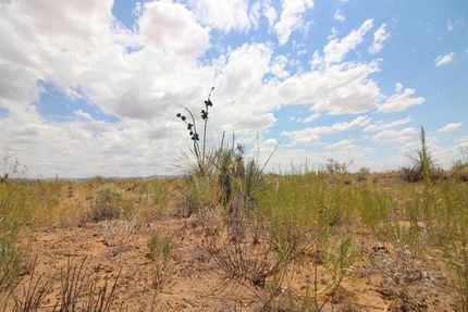 Farm Property in Nueces County, Texas