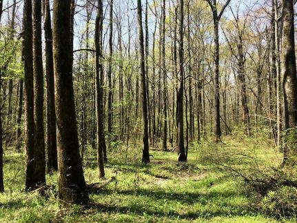 Recreational Property in Sevier County, Arkansas