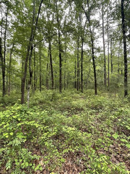 Recreational Property in Jefferson County, Arkansas