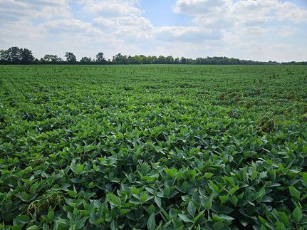 Recreational Property in Butler County, Ohio