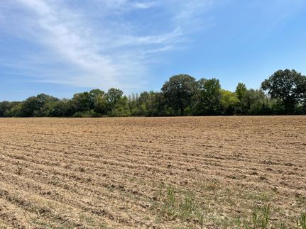 Property in West Carroll Parish, Louisiana