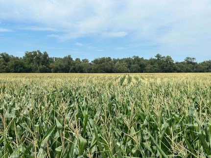 Ranch Property in Boyd County, Nebraska