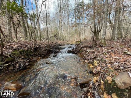 Timberland Property in Clay County, Alabama