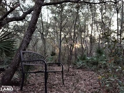 Commercial Property in Putnam County, Florida