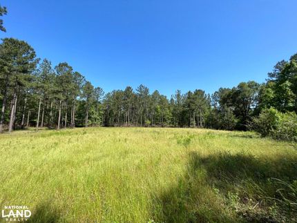 Ranch Property in Early County, Georgia