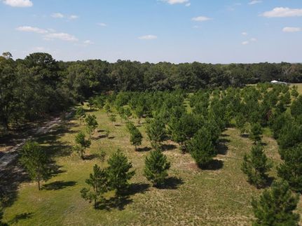Property in Houston County, Alabama