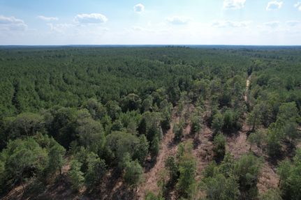 Property for sale in Tyler County, Texas