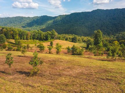 Property in Hawkins County, Tennessee