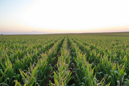 Farm Property in Black Hawk County, Iowa