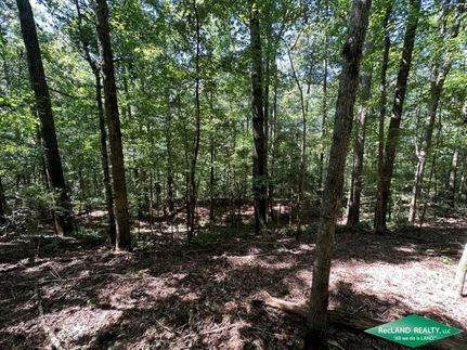 Residential Property in Union Parish, Louisiana