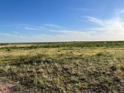 Residential Property in Scurry County, Texas