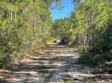 Ranch Property in Bladen County, North Carolina