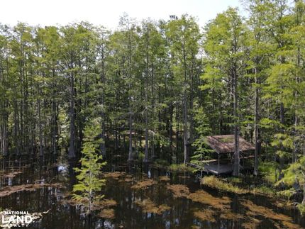 Farm Property in Washington County, Florida