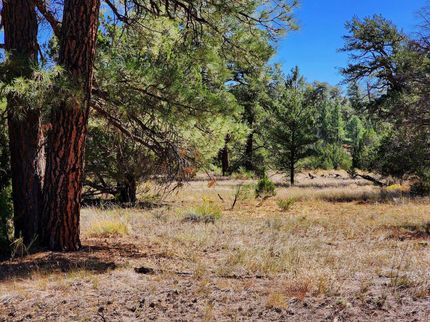 Recreational Property in Cibola County, New Mexico